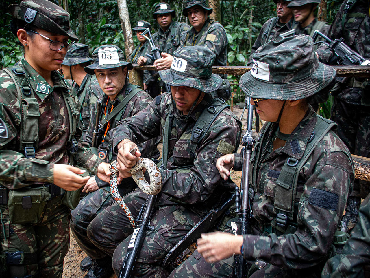 Brigada de Infantaria de Selva realiza estágio para os órgãos de segurança  pública