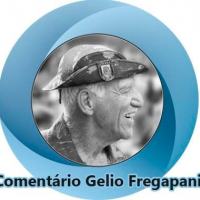 Comentário Gelio Fregapani -  O Momento Político do Brasil