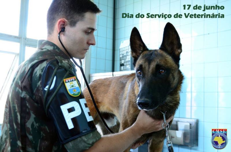 Terrestre Dia da Veterinária Militar
