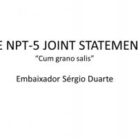 Emb Sérgio Duarte - THE NPT-5 JOINT STATEMENT