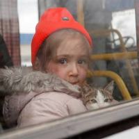 Uma nova faceta da guerra. Refugiados ucranianos levam seus pets de estimação. 