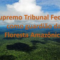 LAWFARE - O Supremo Tribunal Federal como guardião da Floresta Amazônica