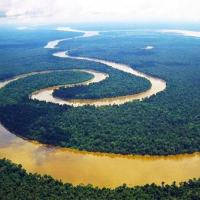 Coup d´Presse -  Facebook identifica militares como ‘chefes’ de perfis com desinformação sobre a Amazônia
