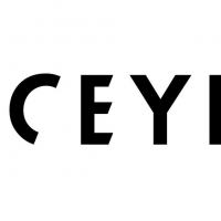 ICEYE expande seus negócios para oferecer missões satelitais completas para seus clientes